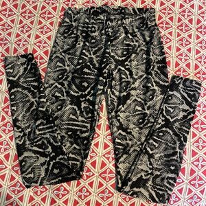 Steve Madden Snake Print Leggings